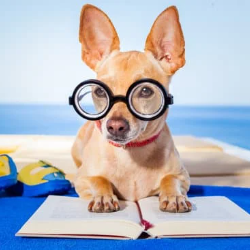 Edufun Learning Centre ( ELC )